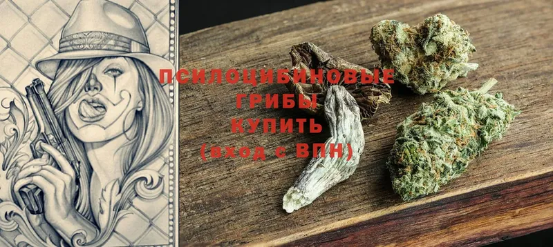 Псилоцибиновые грибы мицелий  Высоцк 