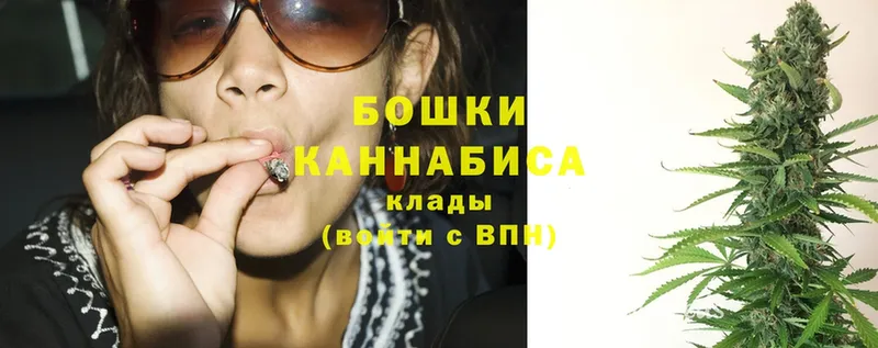 как найти   Высоцк  Конопля SATIVA & INDICA 